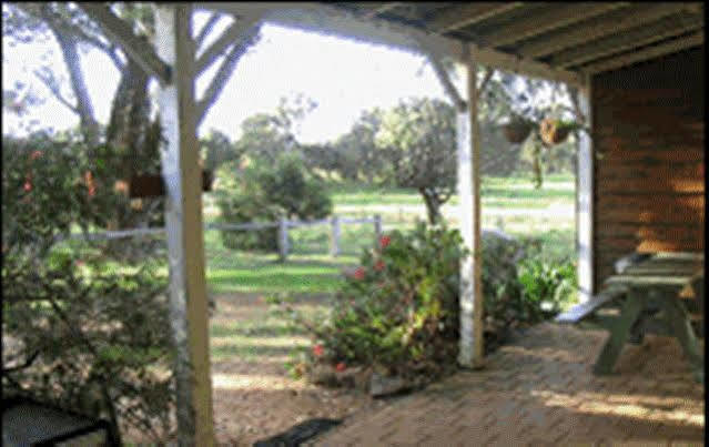 Sunflowers Animal Farm & Farmstay Margaret River Exteriör bild